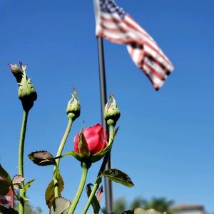 Meet your Posher, Sergio